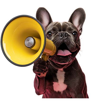 Collection image for: Dog Supplies