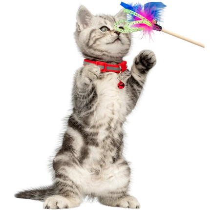 Collection image for: Cat Toys