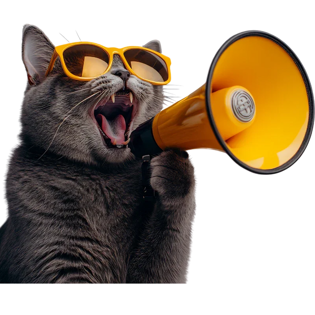 Cat Supplies