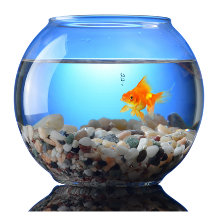 Collection image for: Aquarium Supplies