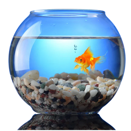 Collection image for: Aquarium Supplies
