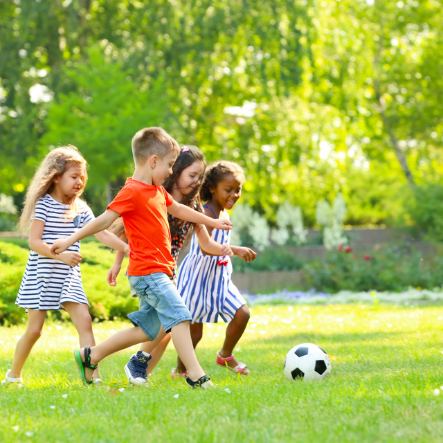 Outdoor toys & Sports