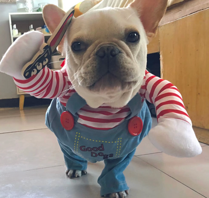 Funny Pet Costume Clothes for Small & Medium Dogs & Cats