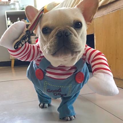 Funny Pet Costume Clothes for Small & Medium Dogs & Cats