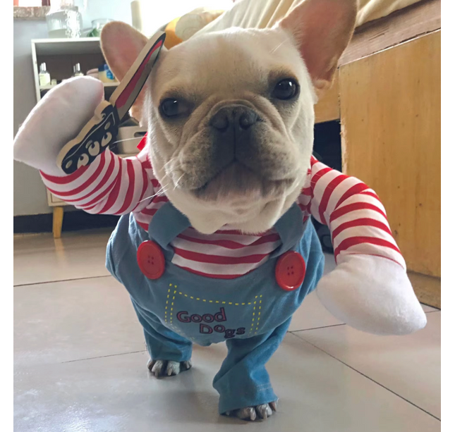 Funny Pet Costume Clothes for Small & Medium Dogs & Cats