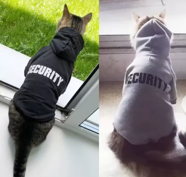 Pet Hoodie Jacket for Small Dogs – Warm Autumn/Winter Coat