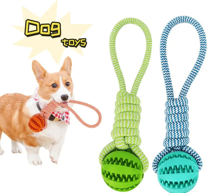 Juguetes interactivos de goma para perros con pelotas que gotean golosinas