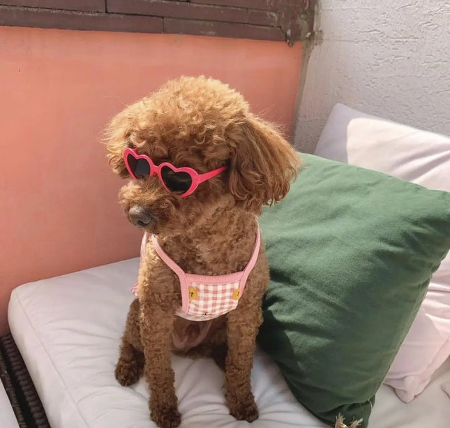 New love pet glasses dog cat cute creative fashion sunglasses sunglasses with jewelry pet beauty decoration supplies