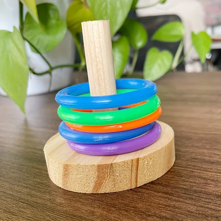 Wooden Parrot Ring Toy – Interactive Educational Exercise Toy for Parakeets & Birds, Random Color