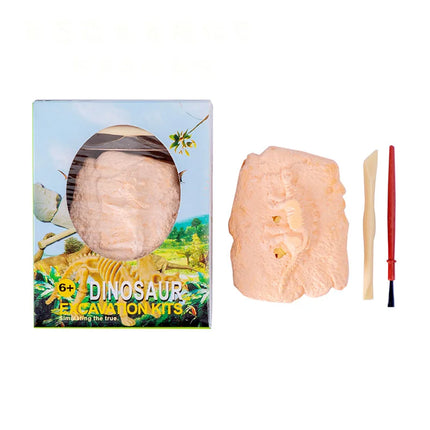 Dinosaur Fossil Excavation Kit – DIY Archaeological Dig & Assembly Model Educational Toy for Kids Birthday & Christmas Gifts