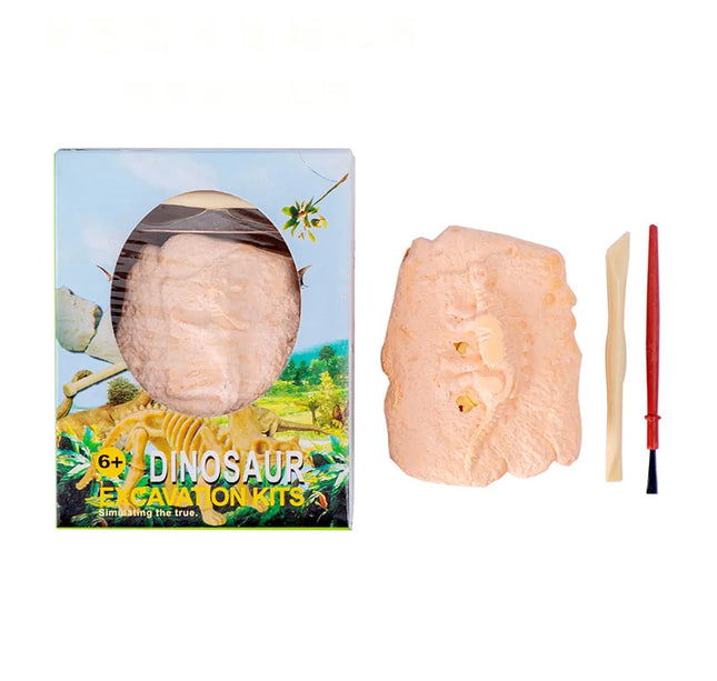 Dinosaur Fossil Excavation Kit – DIY Archaeological Dig & Assembly Model Educational Toy for Kids Birthday & Christmas Gifts