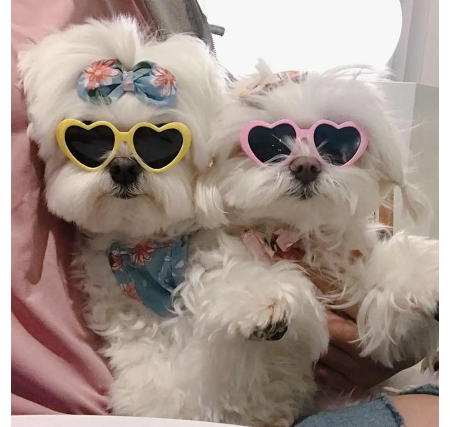 New love pet glasses dog cat cute creative fashion sunglasses sunglasses with jewelry pet beauty decoration supplies