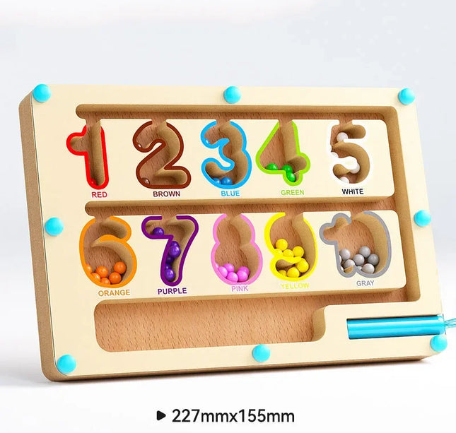 Montessori Magnetic Maze Game – Color Sorting & Fine Motor Training Toy with Pen Control for Kids Sensory Play