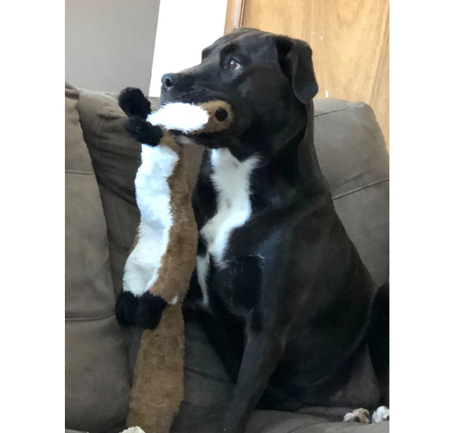 Funny Simulated Animal No Stuffing Dog Toy with Squeakers Durable Stuffingless Plush Squeaky Dog Chew Toy Crinkle Pet Squeak Toy