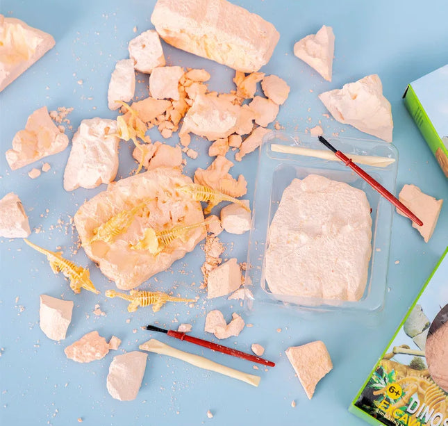 Dinosaur Fossil Excavation Kit – DIY Archaeological Dig & Assembly Model Educational Toy for Kids Birthday & Christmas Gifts