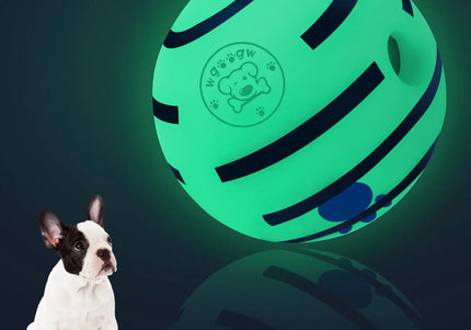 Pelota luminosa y divertida para perros