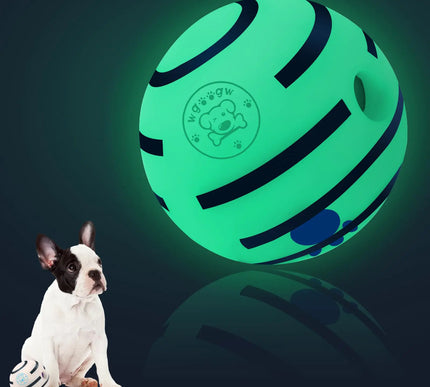 Pelota luminosa y divertida para perros
